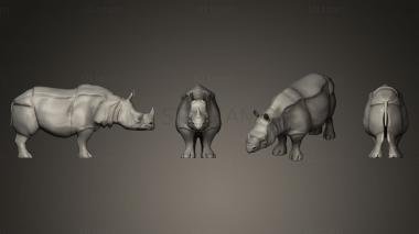 3D model rhino (STL)